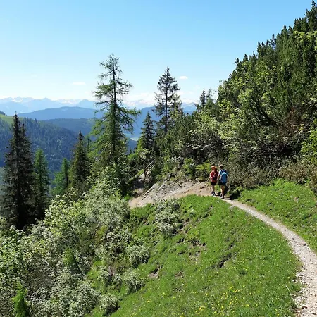 Adlerblick Werfenweng