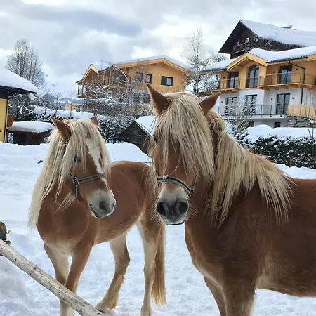 Apartman Adlerblick Werfenweng