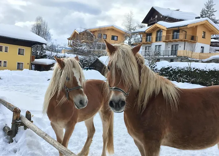 Apartman Adlerblick *